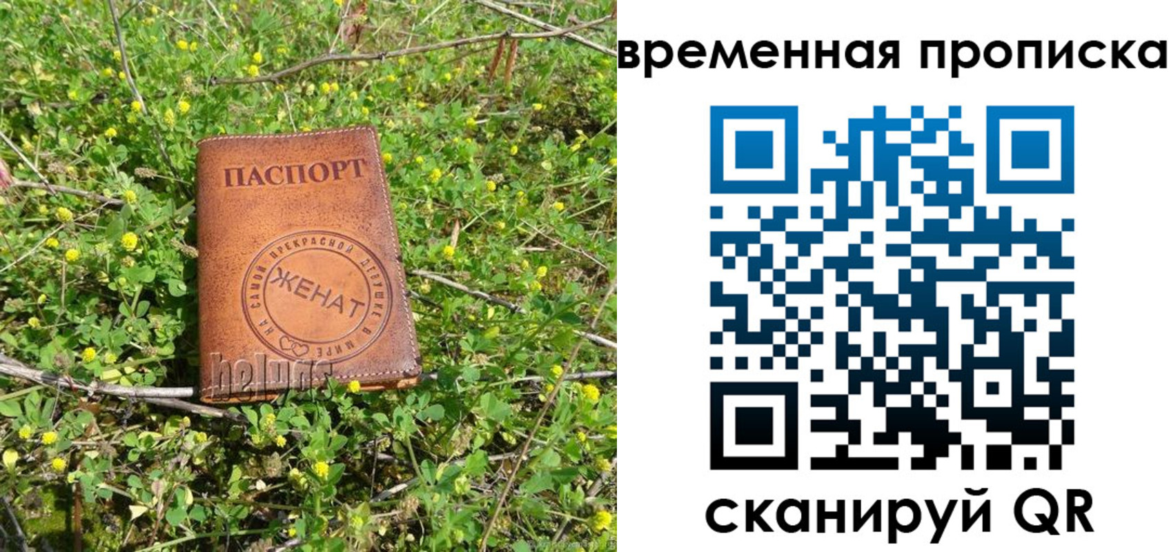 форма 3 в Гатчине